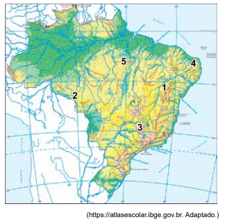 Questões sobre a Caatinga - NerdProfessor