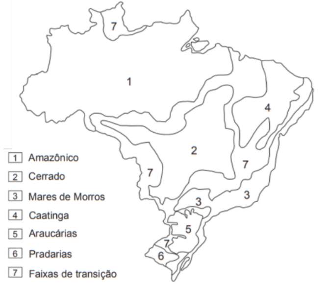 Dinâmica climática e vegetação no Brasil - educação